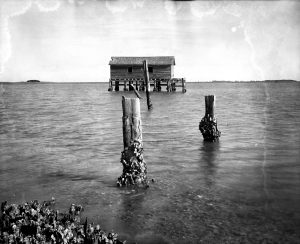 Boat-house-Cape-Romaine--300x244 New Exhibit: Photographs of Will Fulmore, '68