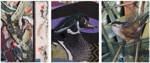 Screenshot-2018-08-23-10.41.15-300x127 New Audubon Exhibit feat. Libraries' "Birds of America"